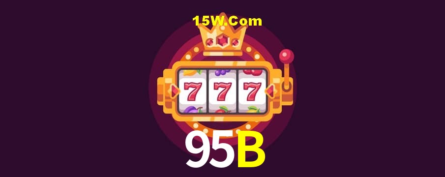Flash Promotion 95B